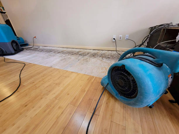 Professional Basement Flood Cleanup technician working in Centerville, TN